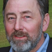 Interview: Arye Gross Watching BIRDS OF NORTH AMERICA & More