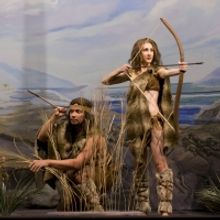 Two River Theater Presents SEVEN HOMELESS MAMMOMTHS WANDER NEW ENGLAND