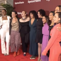 Video: Go Inside Opening Night of MY BROKEN LANGUAGE with Daphne Rubin-Vega and More! Video