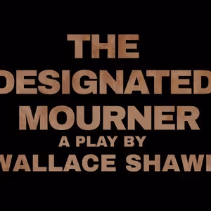 The Catastrophic Theatre to Present Limited Engagement of Wallace Shawn's THE DESIGNATED MOURNER