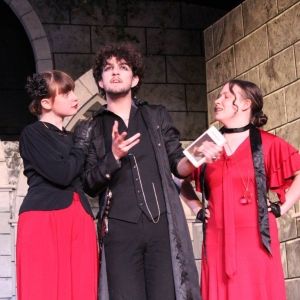 Review: WILLIAM SHAKESPEARE'S HAMLET at TWIN LAKES PLAYHOUSE