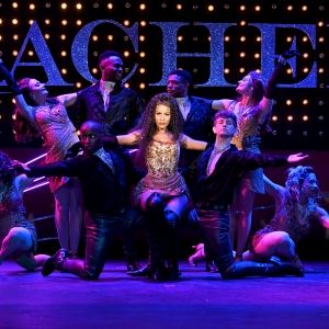 Review: THE BODYGUARD: THE MUSICAL at Theatre By The Sea