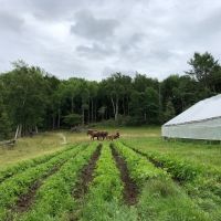 Threadbare Theatre Workshop Announces Outdoor Summer Season at Carding Brook Farm
