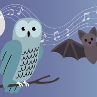 Plano Symphony Orchestra Kicks-off Plano Symphony Family Series With Interactive Conc