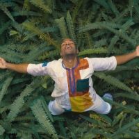 BWW Review: BREATHING FREE at Home Computer Screens