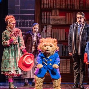 PADDINGTON THE MUSICAL Might Come to Broadway ‘Next Season,’ Pink Reveals During the…