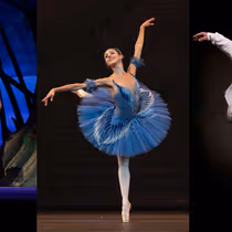 The Fonteyn 2025 Guest Performances Revealed