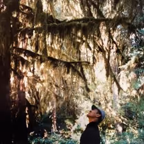 QUIET FOREST Reissue to Mark First Vinyl Release of Hiroshi Yoshimura Album