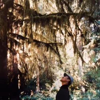 QUIET FOREST Reissue to Mark First Vinyl Release of Hiroshi Yoshimura Album