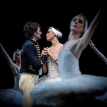 Review: SWAN LAKE at San Francisco Ballet