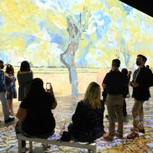 Lighthouse Immersive, Creators of Immersive Van Gough, Files for Bankruptcy