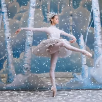 The National Ballet of Canada Announces THE NUTCRACKER Casting