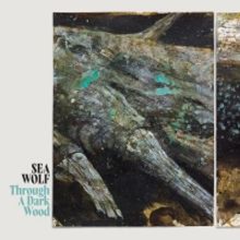 Sea Wolf Announces First New Album In Six Years