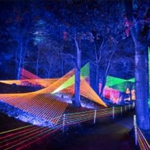 LA Arboretum's LIGHTSCAPE Set To Debut Stunning New Immersive Installations