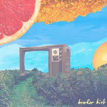 Brother Bird Shares "Landlord" Single, Sets September Tour With Manchester Orchestra