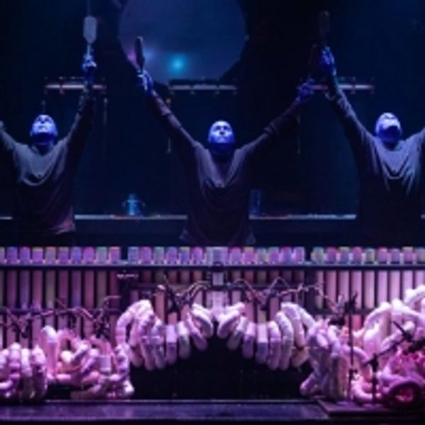 BLUE MAN GROUP Chicago Launches VIP Ticket Package Photo