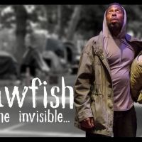 6th Street Playhouse Presents Virtual Workshop Production of CRAWFISH: WE, THE…