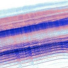 CHARTS & GRAPHICS Concert to be Performed This January