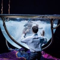 BWW Review: AMALUNA at The Big Top At Oracle is a wondrous and enchanting night at the circus that will be enjoyed by all ages.