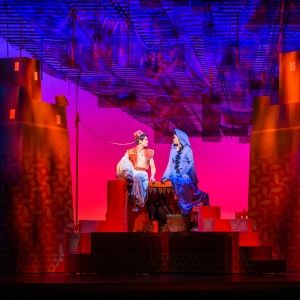 Review: ALADDIN, Birmingham Hippodrome