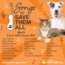 Emmylou Harris, Amanda Seyfried & More to Appear in 'Songs to Save Them All'