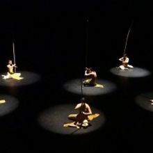 Nai-Ni Chen Dance Company Free Online Company Class With Asian American Master…