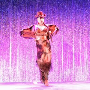 Cortland Rep Downtown Hosts Bees Knees Academy Night Of Burlesque