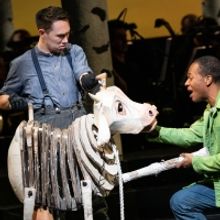 Review: INTO THE WOODS at Opera House/Kennedy Center