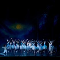 SWAN LAKE Highlights to Come to Stellenbosch With Cape Town City Ballet