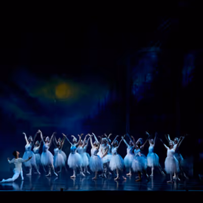 SWAN LAKE Highlights to Come to Stellenbosch With Cape Town City Ballet