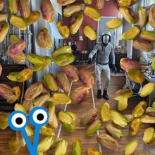 Devon Loves ME! Productions To Return To Edinburgh Fringe With Two New Shows