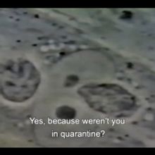 Institute of Contemporary Art, Miami Commissions Four Miami Artists to Create New Dig