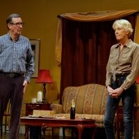 BWW Review: A TREE FALLS IN BROOKLINE at The Community Players