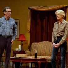 BWW Review: A TREE FALLS IN BROOKLINE at The Community Players