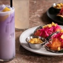 Cinco de Mayo at XOLO and BAR MILAGRO in Williamsburg, Brooklyn