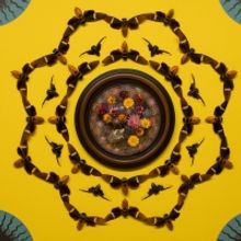MAGICICADA, New Exhibition Of Insect Based Art, to Open At The SI Museum