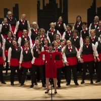 Greater Nassau Chorus To Return To Adelphi PAC With SEASONS Interview