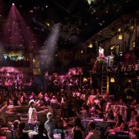 Photo Flash: MAMMA MIA! THE PARTY Begins Performances Tonight; Check Out All New…