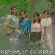 Review: SCREAM, ECHO. SCREAM. at Metro Theater Company