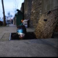 Kim Noble Returns To Soho Theatre With LULLABY FOR SCAVENGERS