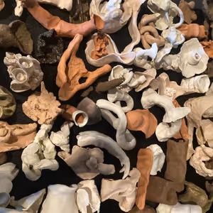 ITERATION IV (FOR ALLEN) To Be Presented At LA MAMA MOVES! Dance Festival