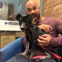 Purple Rose Theatre to Partner With Cascades Humane Society For Adoption Nights