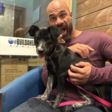Purple Rose Theatre to Partner With Cascades Humane Society For Adoption Nights