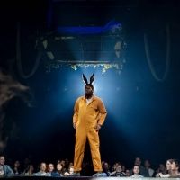 BWW Review: A MIDSUMMER NIGHT'S DREAM, Bridge Theatre via National Theatre At Home