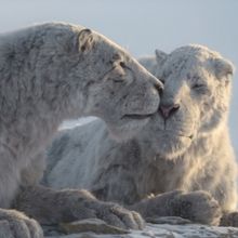 Apple TV+ Sets Natural History Docuseries PREHISTORIC PLANET: ICE AGE