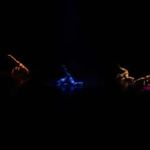 Inspira Remedios Varo Montajes De Estudiantes De La Academia De La Danza Mexicana