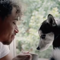 VIDEO: Watch HAMILTON's Anthony Ramos in New Music Video for 'Stop' Video