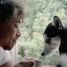 VIDEO: Watch HAMILTON's Anthony Ramos in New Music Video for 'Stop'