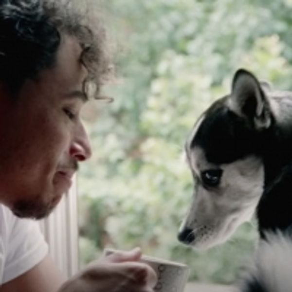 VIDEO: Watch HAMILTON's Anthony Ramos in New Music Video for 'Stop' - Broadway Theater Video
