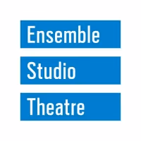 Ensemble Studio Theatre Announces 2022/23 Youngblood Members